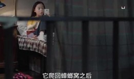 红叶姐姐爆料视频,幕后真相大曝光！